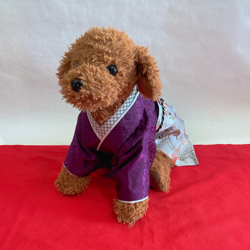 贈り物 犬の袴✨本格着物&袴セット 京都西陣織金襴 わんこ お節句 鯉 犬服・アクセサリー