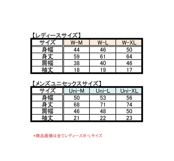 スピンアウトドライＴシャツ　シルバースター　メンズM～XL・レディースM～XL (ブラック) ペアシャツ 4枚目の画像