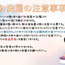スピンアウトドライＴシャツ　シルバースター　メンズM～XL・レディースM～XL (カーキ) ペアシャツ 5枚目の画像