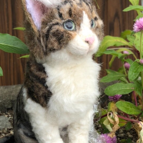 羊毛フェルト 猫 オーダーメイド受付 キジシロ 茶トラ 三毛猫 等 羊毛 