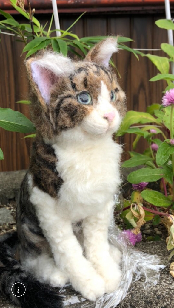 羊毛フェルト　猫　オーダーメイド受付　キジシロ　茶トラ　三毛猫　等 10枚目の画像