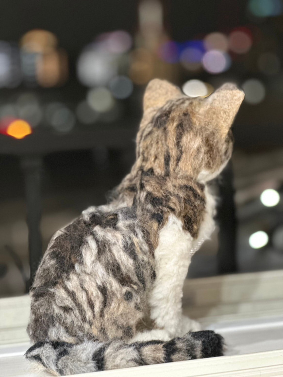 羊毛フェルト　猫　オーダーメイド受付　キジシロ　茶トラ　三毛猫　等 2枚目の画像