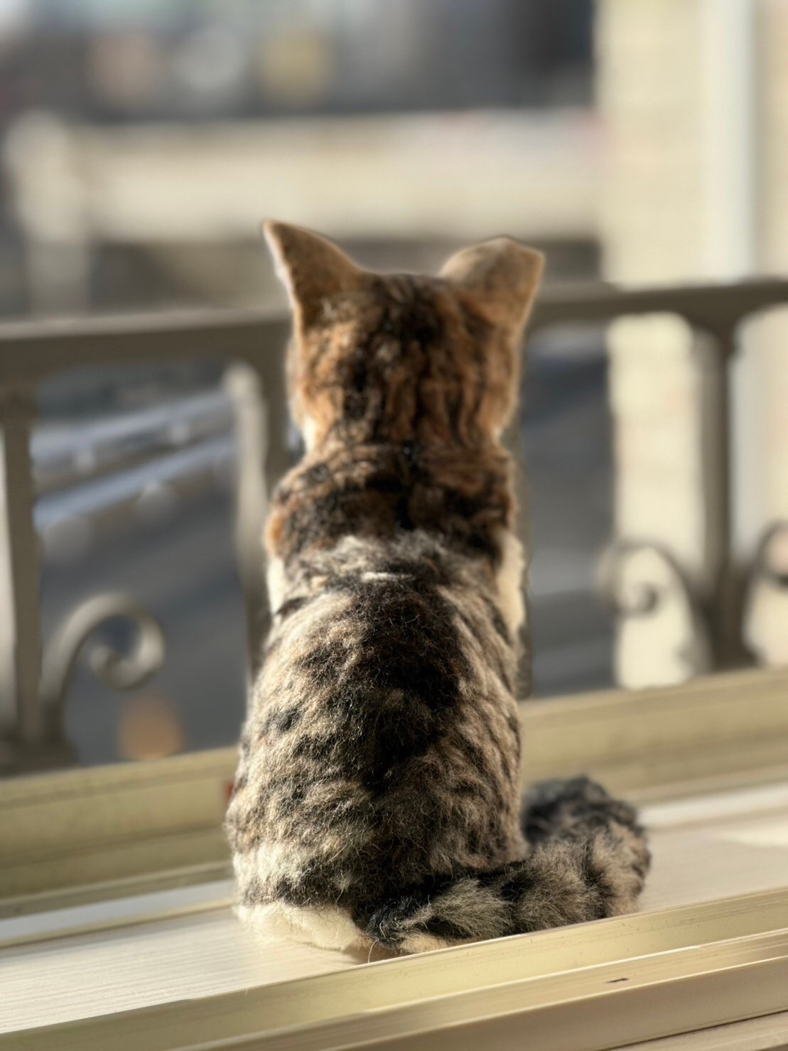 バーゲンで 羊毛フェルト　猫　オーダー　KiraKiraページ 立体・オブジェ