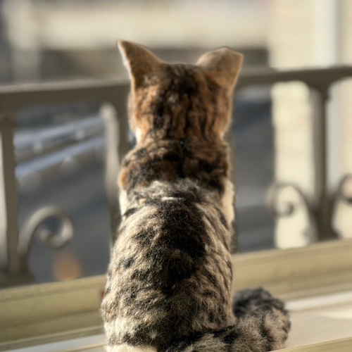 羊毛フェルト 猫 オーダーメイド受付 キジシロ 茶トラ 三毛猫 等 羊毛 