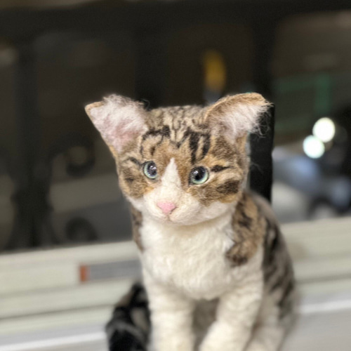 羊毛フェルト　猫　オーダー　KiraKiraページ オーダーメイド】あなたの猫さんお作りします 羊毛フェルト 受注