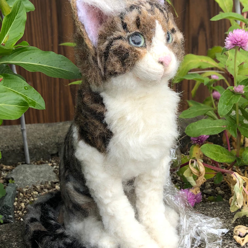 格安 羊毛フェルト 猫 オーダーメイド受付 キジシロ 茶トラ 三毛猫 等 立体・オブジェ
