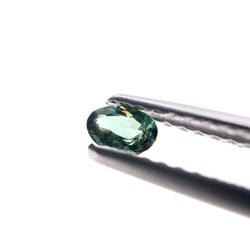 スリランカ　カラーチェンジ ガーネット　ルース　アレキタイプ　0.141ct  B 2枚目の画像