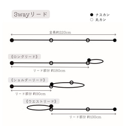 【e31】3wayショルダーリード カフェリード パラコードリード 細め 4本編み 犬 4枚目の画像