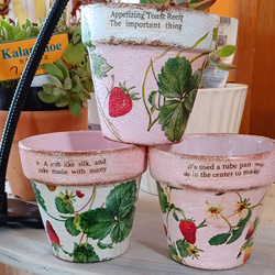 a548fae0ddc0925943fb00c778ba9e