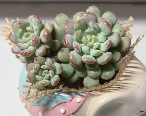 9e8b4ada03eccaf962de560bb7e6d7