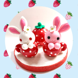 苺ずきん♡うさぎちゃん 5927b03f20e5f8041dc4576aad45c0