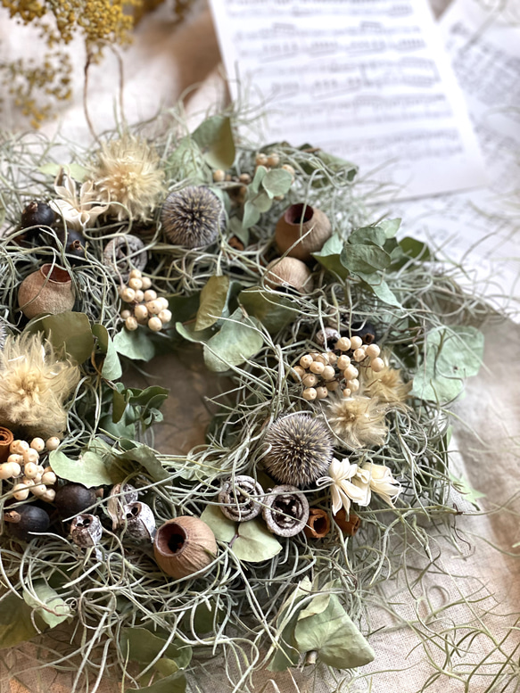 ナッツのボタニカルリース〜nuts botanical wreath〜ナチュラル  