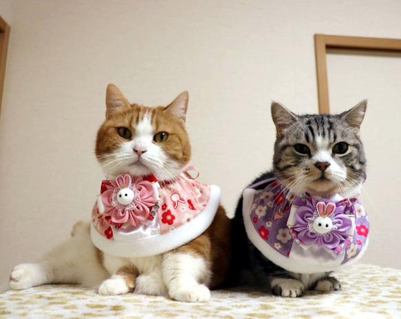 猫服ケープ　和風うさぎ（ピンク） 3枚目の画像