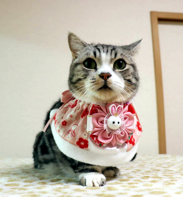 猫服ケープ　和風うさぎ（ピンク） 2枚目の画像