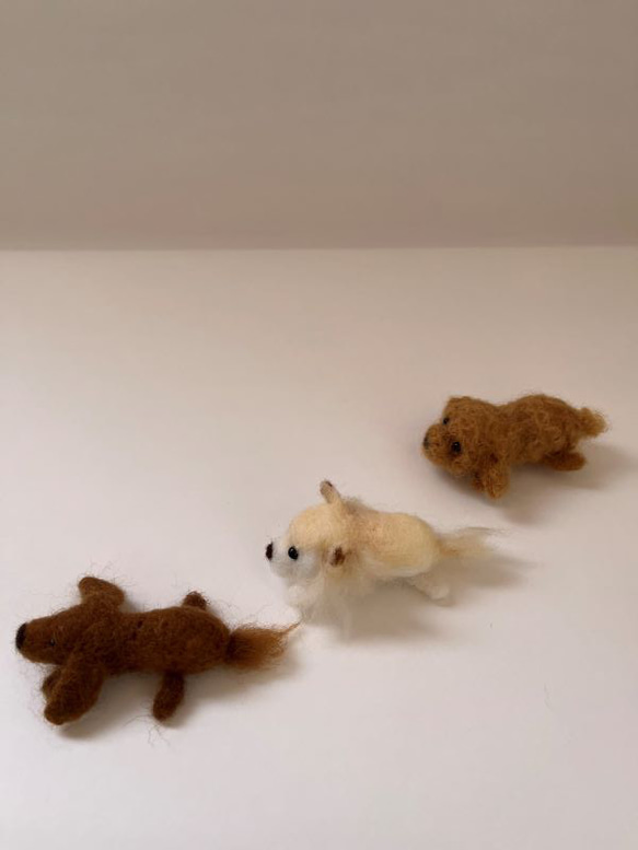 羊毛フェルト　マスコット　わんこ　犬　ブローチ　置物 4枚目の画像