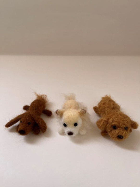 羊毛フェルト　マスコット　わんこ　犬　ブローチ　置物 3枚目の画像