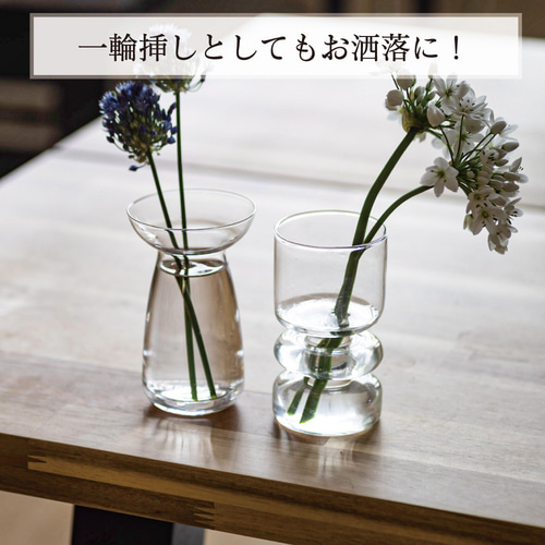 超早割母の日2025【水耕栽培が初めての方に☆説明書付き！】きゅうこん 