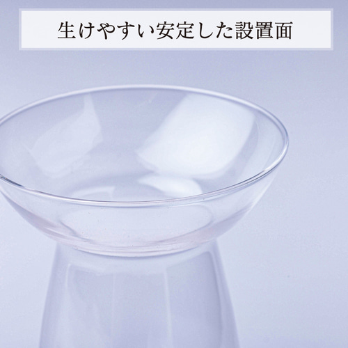 超早割母の日2025【水耕栽培が初めての方に☆説明書付き