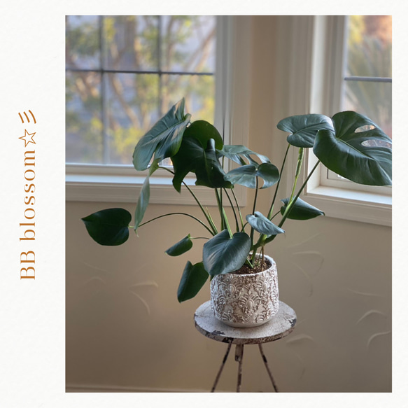 可愛い家型インテリア置物 ブリキ屋根 グリーン フェイクグリーン