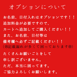 【即日～翌日発送可】横 バースデータペストリー 誕生日タペストリー 11枚目の画像