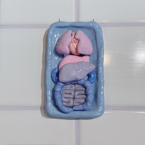 壁掛け臓器模型(Nemophila) 立体・オブジェ テートリヒェスギフト 通販