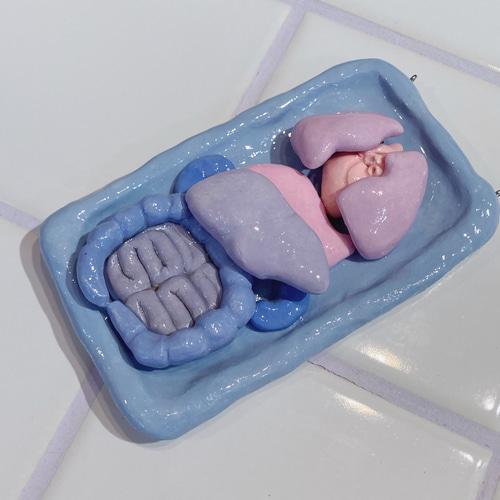 壁掛け臓器模型(Nemophila) 立体・オブジェ テートリヒェスギフト 通販