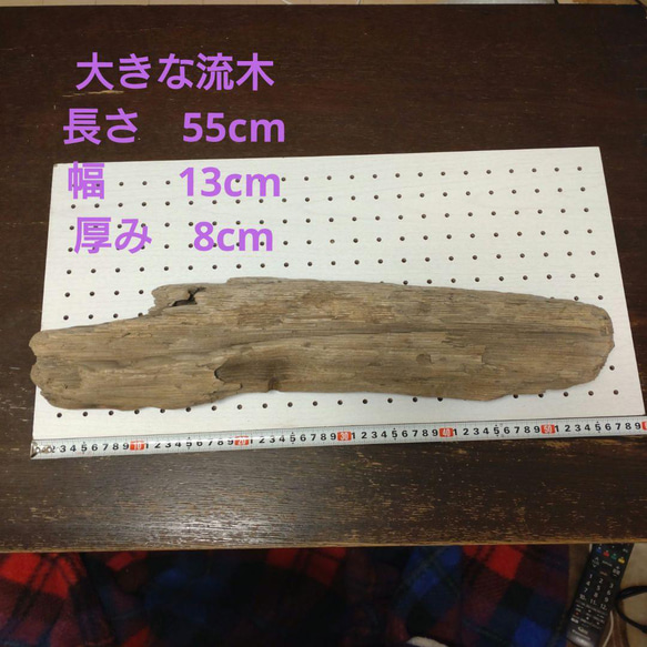 迫力の流木(55cm) 1枚目の画像