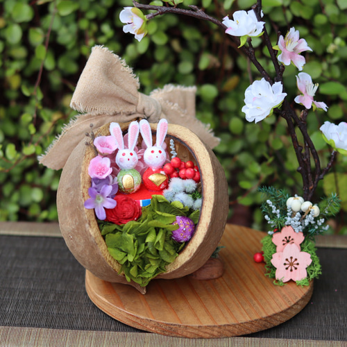 森のブッダナッツ＊ひな祭り(2wayタイプ) ドライフラワー kiko_flower  