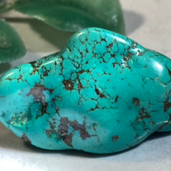 チベット産　ターコイズ　トルコ石 旅守り】チベット産 トルコ石 ターコイズ 原石 タンブル 天然石 東洋