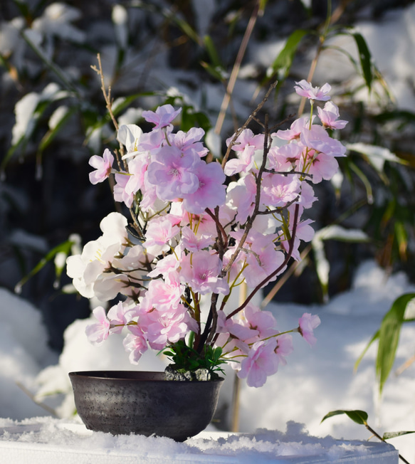 置物　水辺の風景　錦鯉  桜　美濃焼　和雑貨　インテリア雑貨　 11枚目の画像