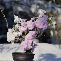 置物　水辺の風景　錦鯉  桜　美濃焼　和雑貨　インテリア雑貨　 10枚目の画像