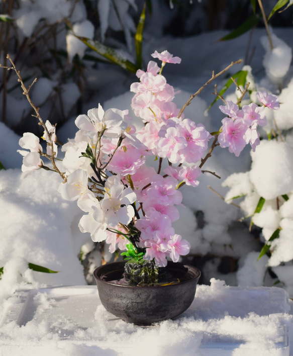 置物　水辺の風景　錦鯉  桜　美濃焼　和雑貨　インテリア雑貨　 1枚目の画像