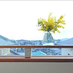 フレッシュ/ユーカリ/ポポラス/ドライフラワー用/ハンドメイド/無農薬