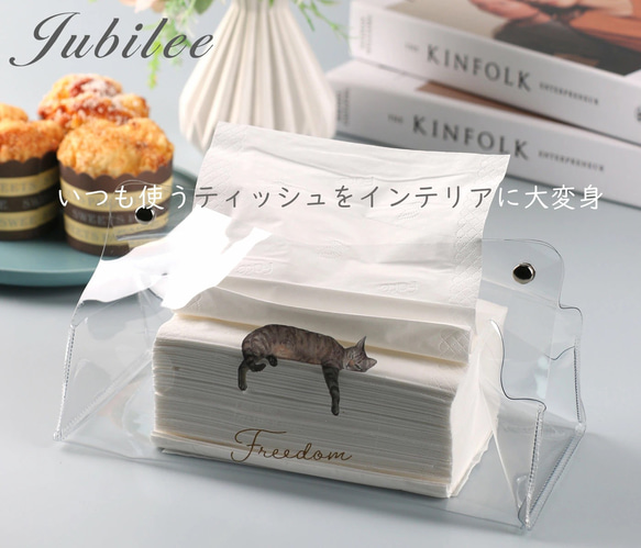 Jubilee ジュビリー クリアティッシュケース ビニール製 フェルメール jbtissuecase-001-I 3枚目の画像