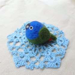 飼い鳥シリーズ～アケボノインコ～ 1枚目の画像