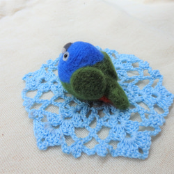 飼い鳥シリーズ～アケボノインコ～ 4枚目の画像