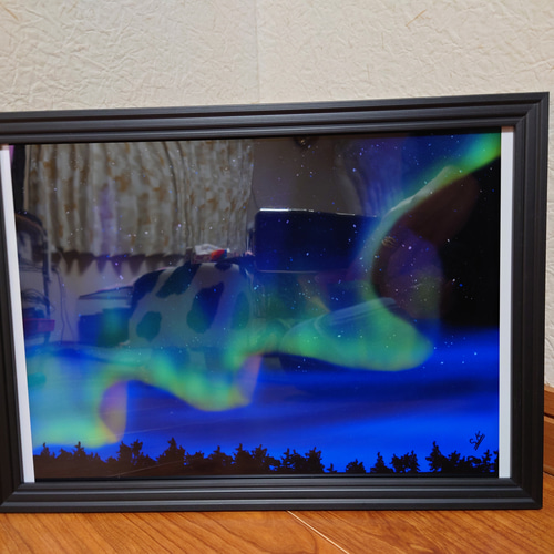 値下✴️超高品質✴オーロラ Aurora✴3.4mm厚95mm✴カスタム 値下✴️超高品質✴オーロラ Aurora✴3.4mm厚95mm✴カスタム