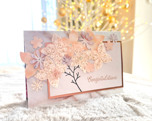 50f834bd7505e76e33c24b8e955206