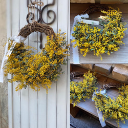 秋色 たっぷりの月桃の実といろんな種類の木の実のハーフリース 秋