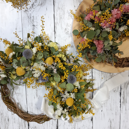 ミモザリースju