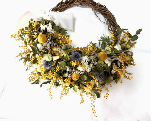 ミモザリースju