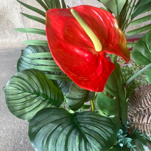 光触媒　人工観葉植物　ウォールグリーン　フェイク　バリ風マッサンとモンステラ 光触媒 人工観葉植物 ウォールグリーン フェイク フラワー