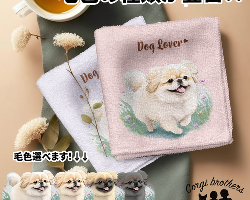 df47ed7561a51b53456a5883be6570  