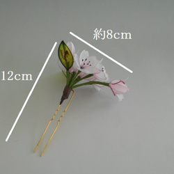 桜の簪（晴日）髪飾り　変わり花 6枚目の画像