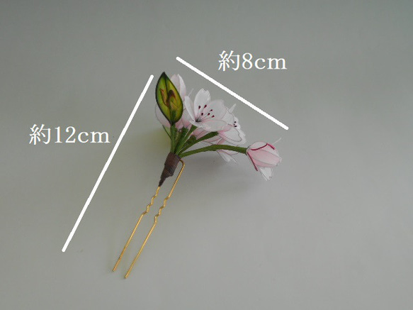 桜の簪（晴日）髪飾り　変わり花 6枚目の画像