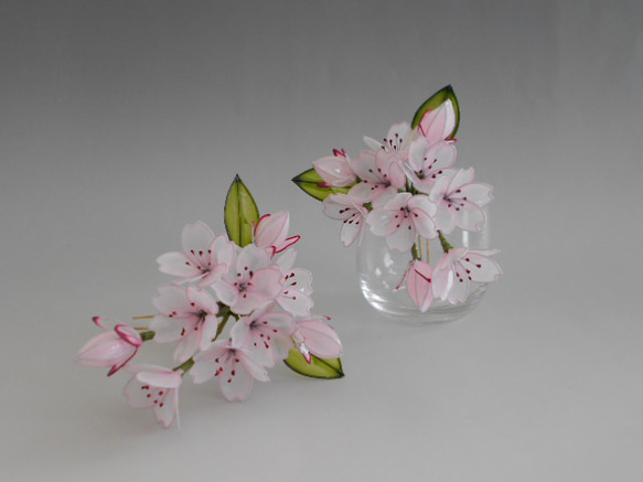 桜の簪（晴日）髪飾り　変わり花 1枚目の画像