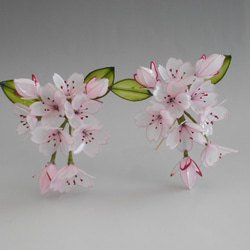 桜の簪（晴日）髪飾り　変わり花 2枚目の画像