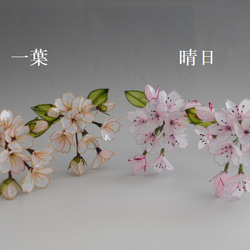 桜の簪（晴日）髪飾り　変わり花 9枚目の画像
