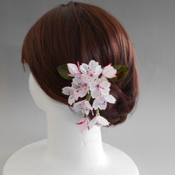 桜の簪（晴日）髪飾り　変わり花 8枚目の画像