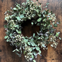 マトリカリア ドライフラワー（25輪） ドライフラワー Flower shop